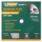 Grinding Plate General Purpose Soft Bond 250Mm